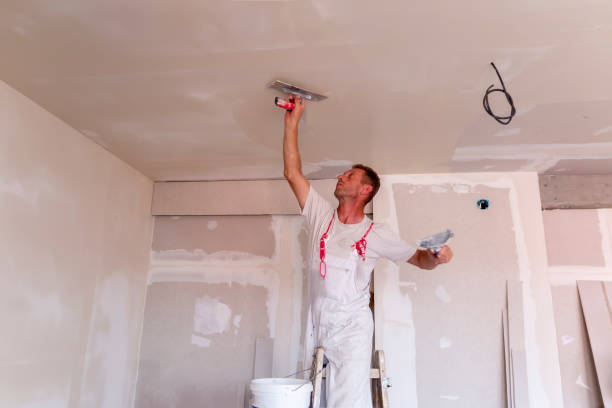 Best Stucco Painting  in Quitman, TX